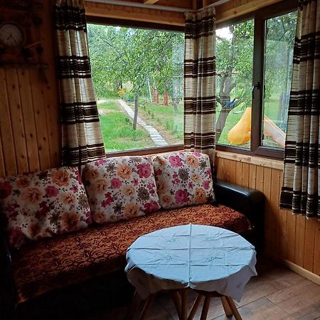 Готель Casa Sara Nucsoara Екстер'єр фото