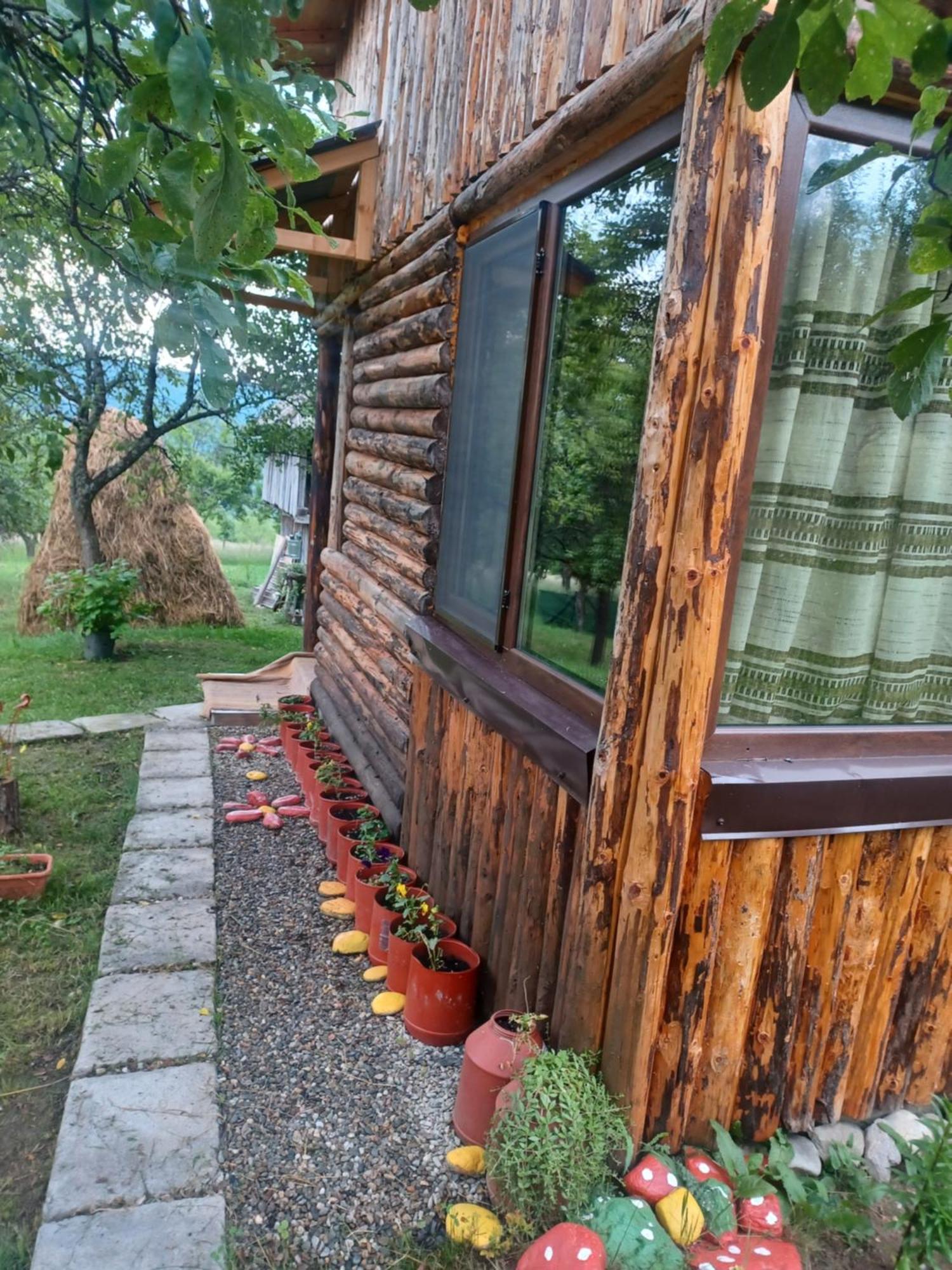 Готель Casa Sara Nucsoara Екстер'єр фото