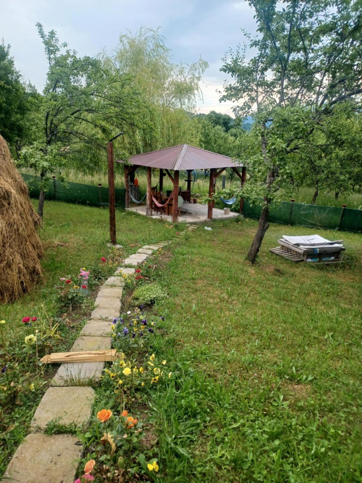 Готель Casa Sara Nucsoara Екстер'єр фото